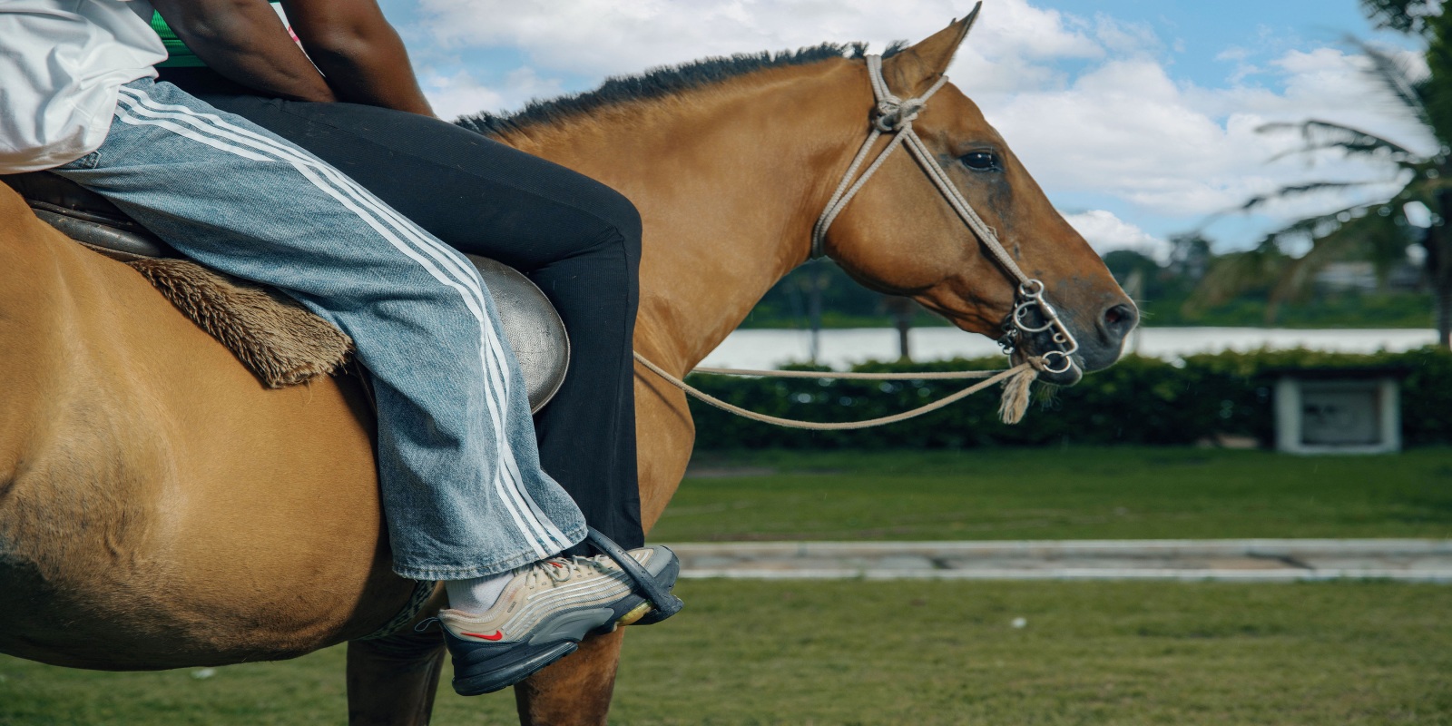 Horse Ride